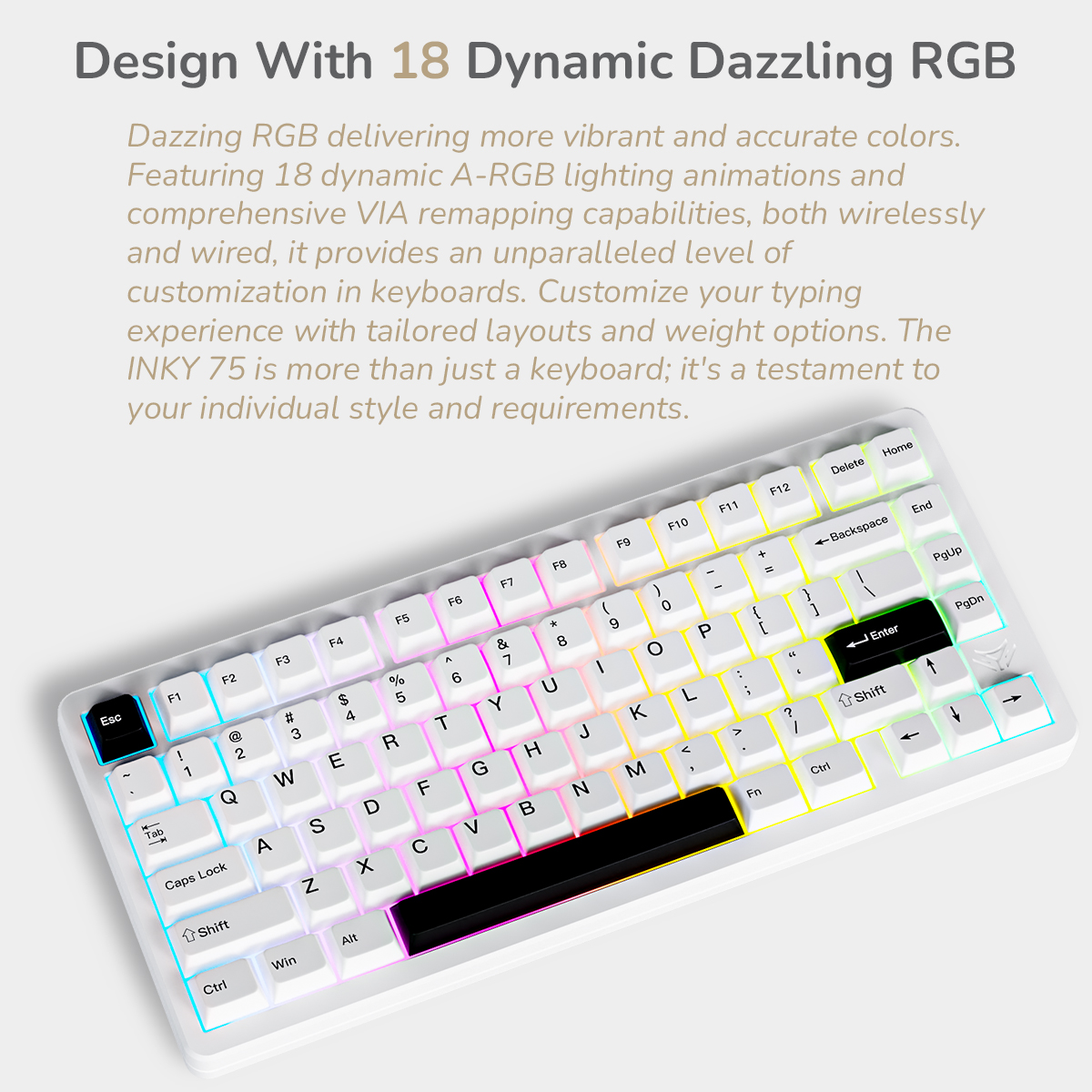 INKY 75 Aluminum Custom Mechanical Keyboard Tri-Mode 75% Layout – Elec Fox